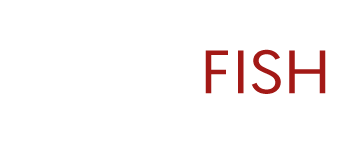 Agence Blackfish